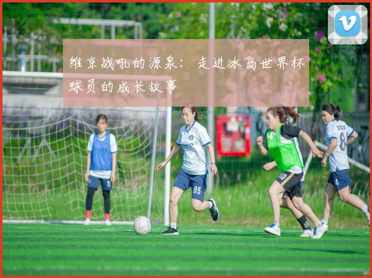 维京战吼的源泉：走进冰岛世界杯球员的成长故事