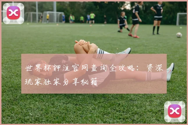 世界杯押注官网查询全攻略：资深玩家独家分享秘籍