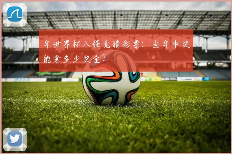 年世界杯八强竞猜彩票：当年中奖能拿多少奖金？