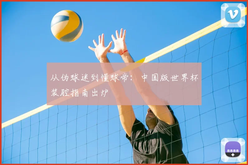 从伪球迷到懂球帝：中国版世界杯装腔指南出炉
