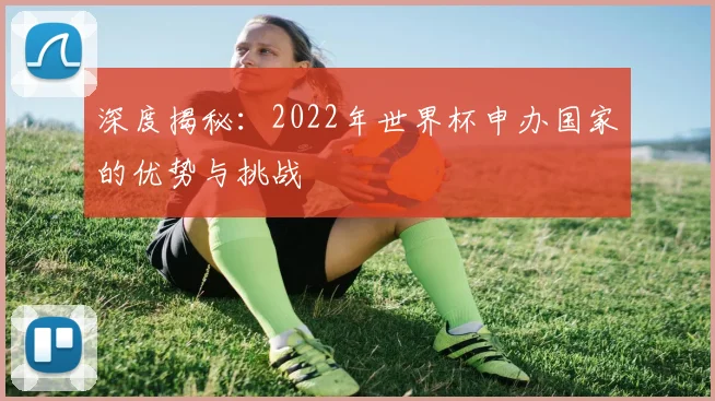 深度揭秘：2022年世界杯申办国家的优势与挑战